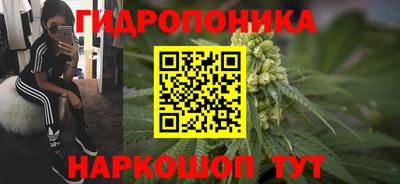 молекула духа Пугачёв