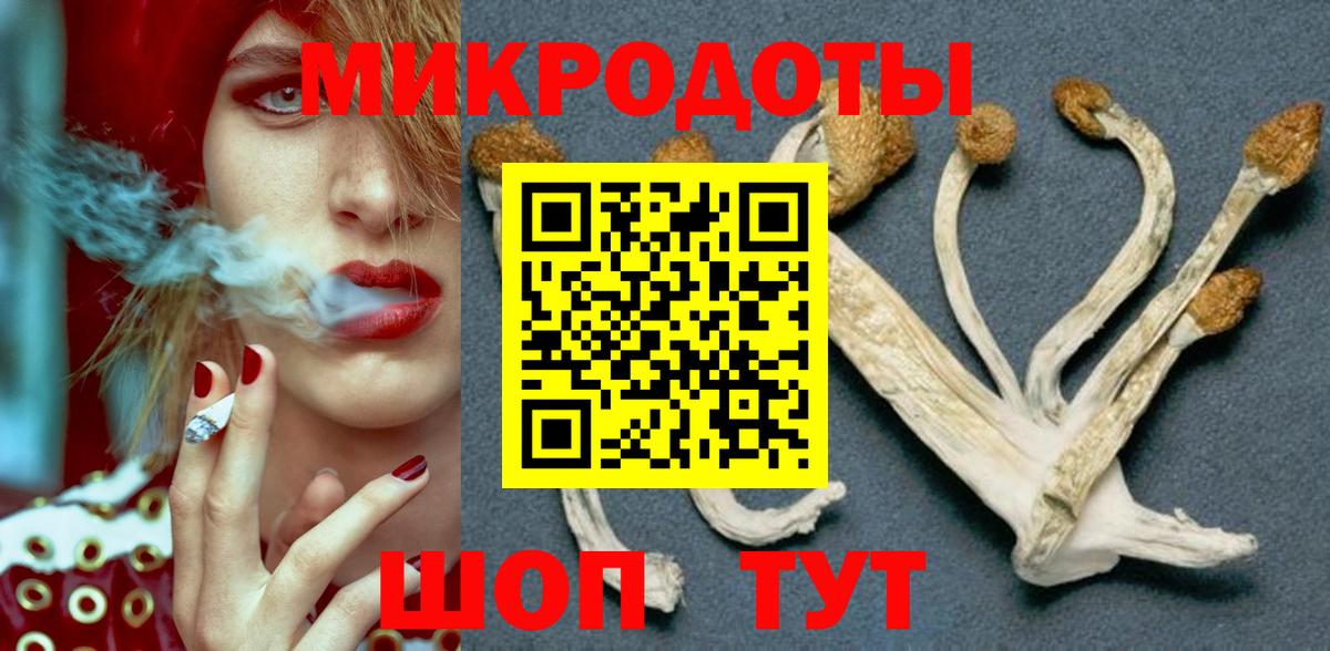 Псилоцибиновые грибы GOLDEN TEACHER Северск